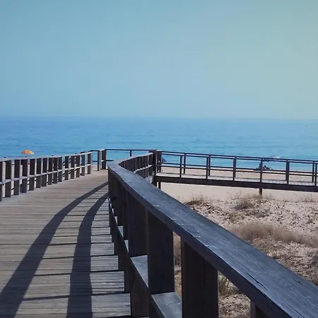 Oasis Lighthouse *
